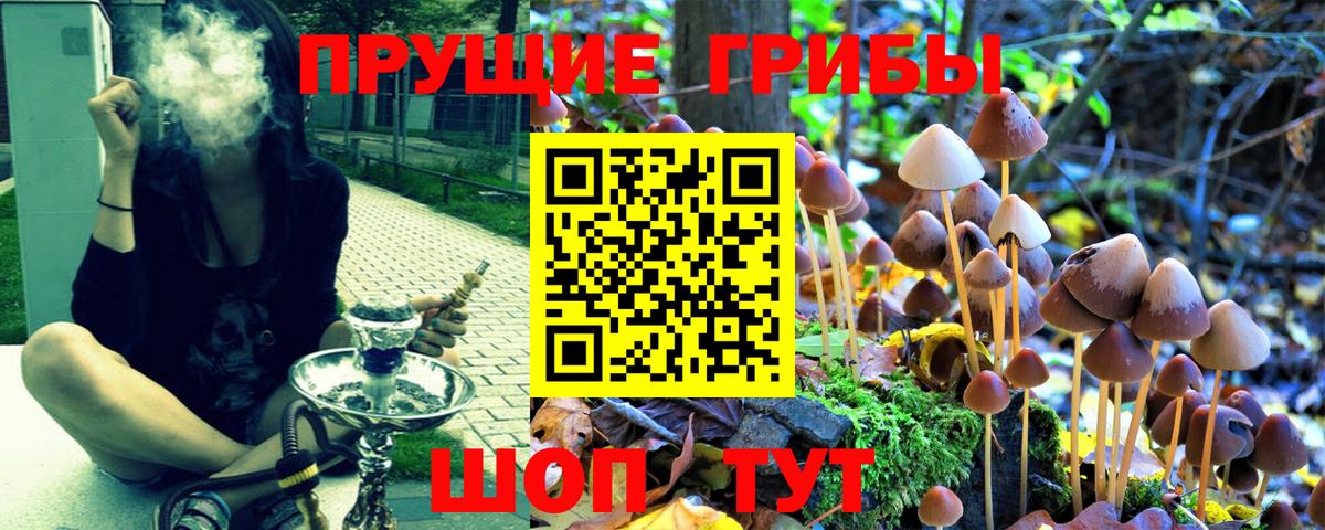 Галлюциногенные грибы GOLDEN TEACHER Саранск
