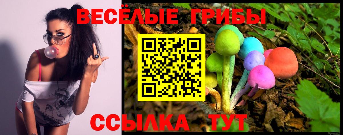 Псилоцибиновые грибы прущие грибы  Вход с VPN  Саранск  Галлюциногенные грибы Magic Shrooms 